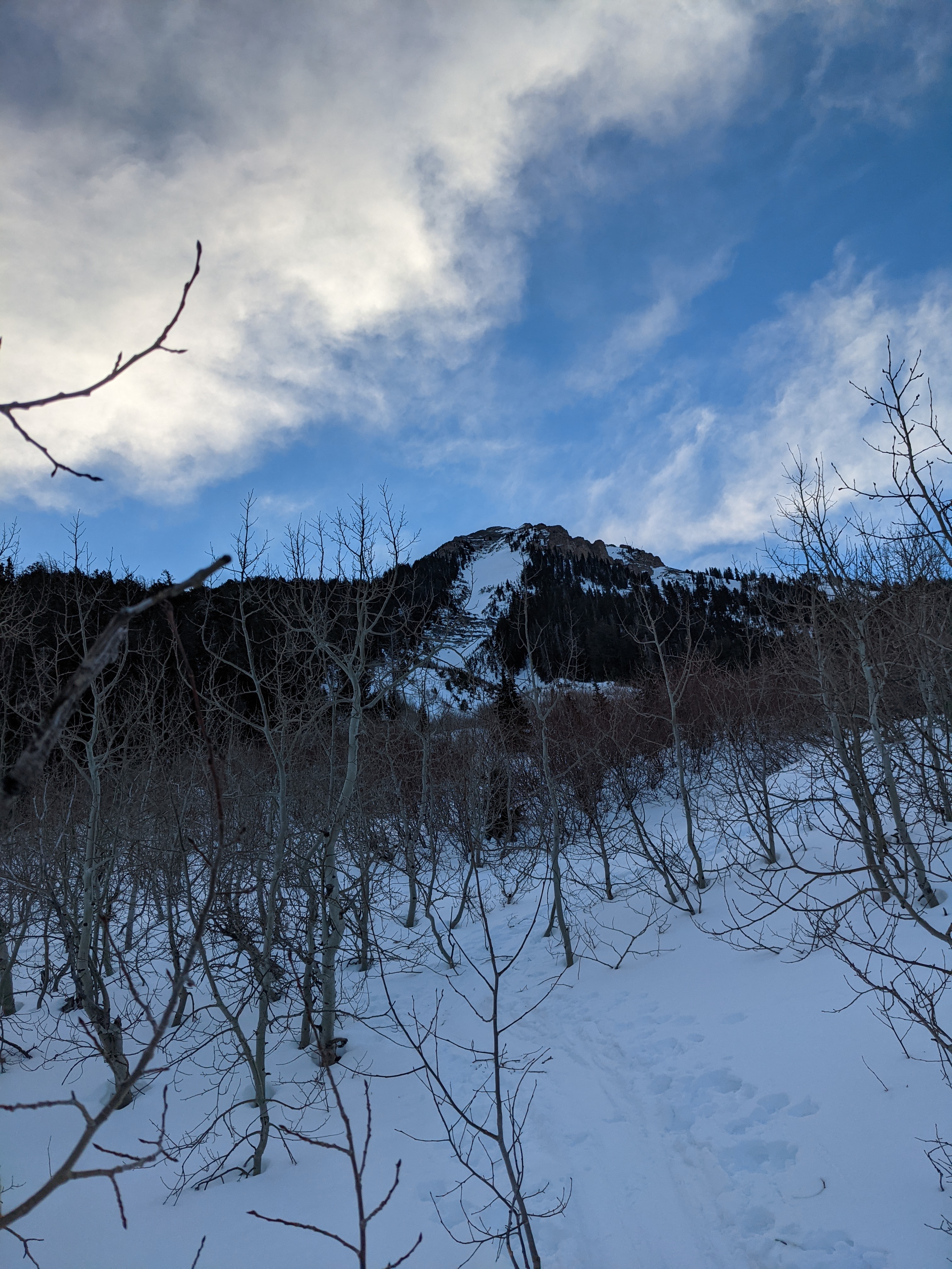 Approaching along the lower treed slopes